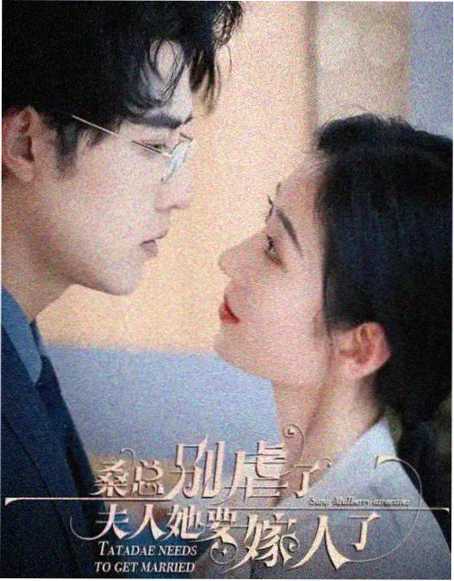 听主人的话播放量